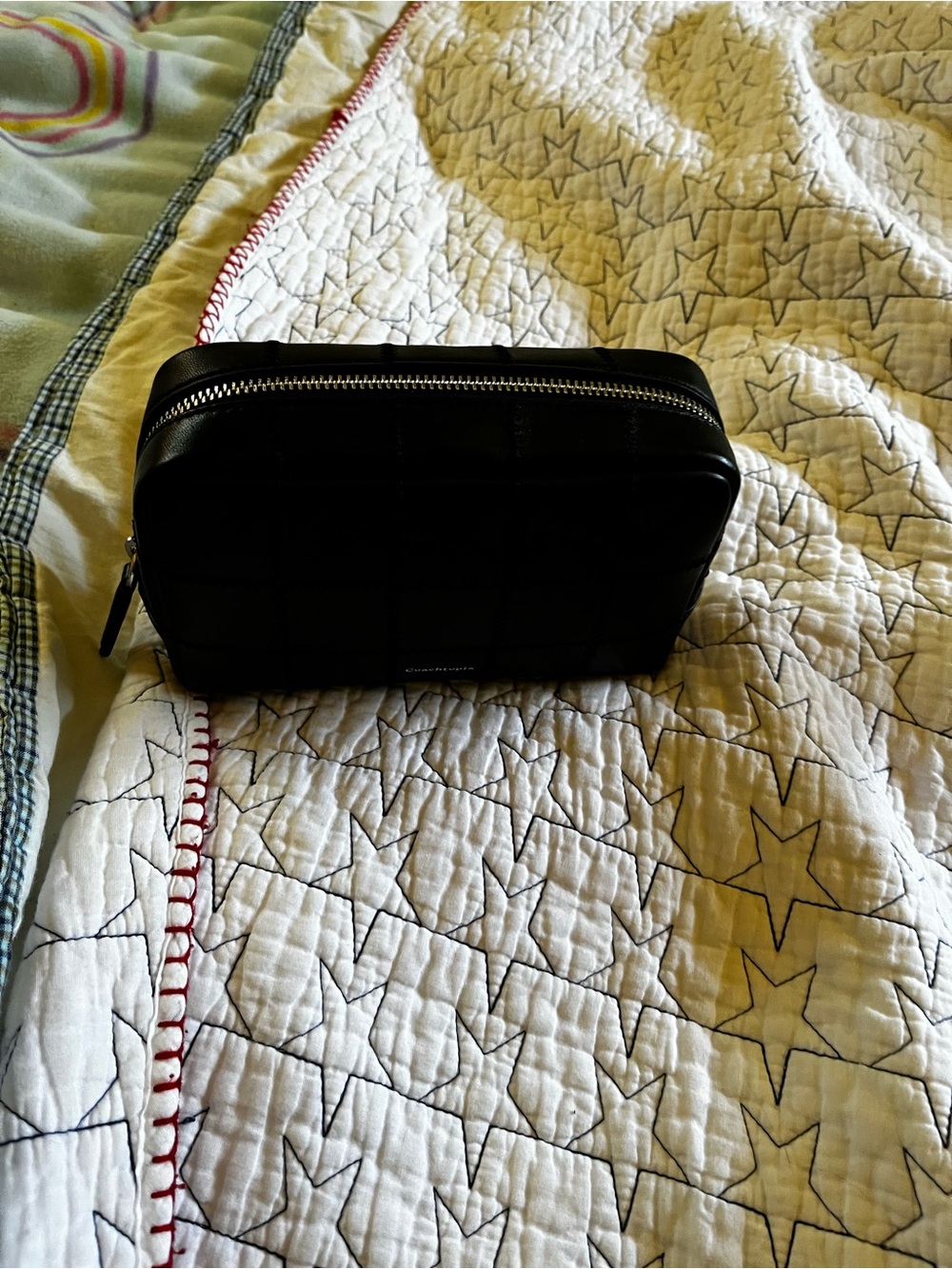 Coachtopia Alter Ego Black Leather Cosmetic Bag - Picture 2 of 16